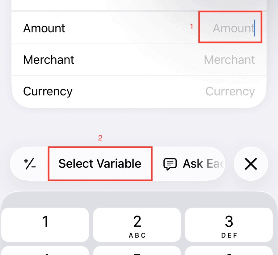 Choosing Select Variable on the Amount field